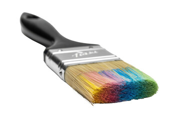 Colorful bristle paint brush