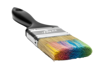 Colorful bristle paint brush