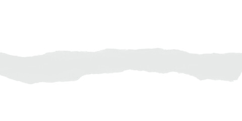 Thin light gray abstract paint stroke with organic flow creating subtle minimal background design