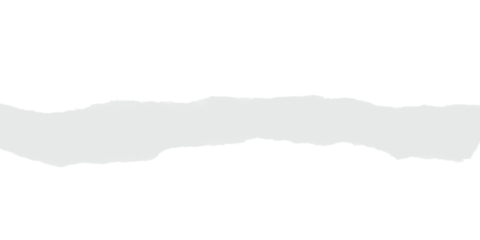 Thin light gray abstract paint stroke with organic flow creating subtle minimal background design