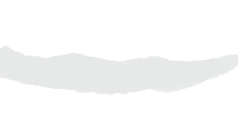 Soft light gray abstract brush shape with smooth edges creating clean modern background element