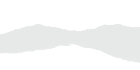 Soft light gray abstract brush shape with organic form creating clean minimal background element