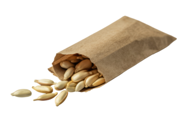Pumpkin seeds spilling from paper bag