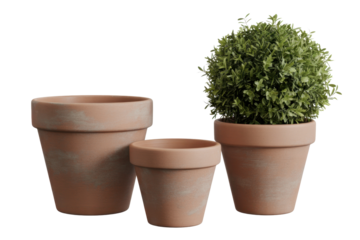 Three terracotta flower pots of different sizes