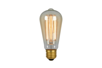 Vintage style Edison lightbulb