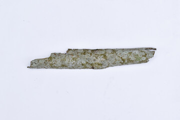 
Dry tree bark over white background. Dead bark.