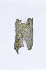 
Dry tree bark over white background. Dead bark.