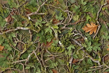 A detailed overhead view of a natural forest camouflage pattern.