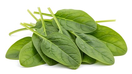 Fresh green spinach leaves on a white background for healthy eating and nutrition