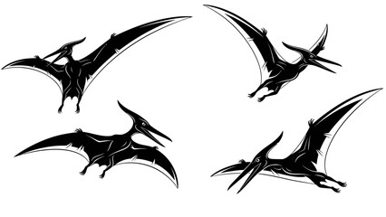 Four black silhouettes of flying Pterodactyls or Pteranodons in various dynamic poses, isolated on a white background, depicting ancient winged reptiles. © Tutorialxxx18
