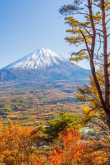 日本の風景・秋　山梨県鳴沢村　紅葉の紅葉台から富士山を望む © Yuta1127