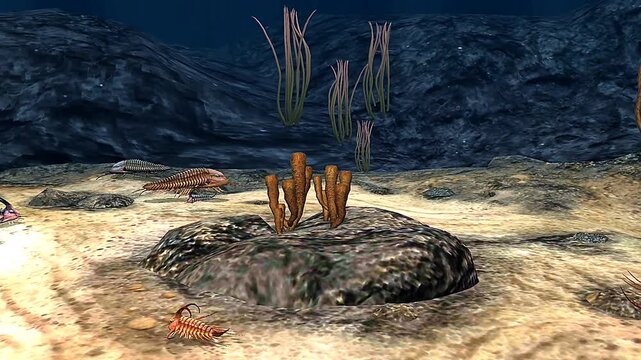 Trilobites in ocean