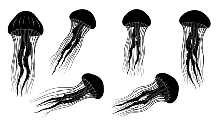 Set of five black silhouette illustrations of jellyfish with varying postures and tentacle © @_ greta