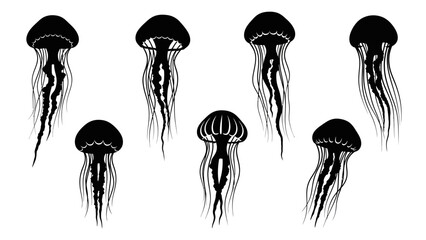 Stylized black and white jellyfish illustrations showing different forms and tentacle arrangements © @_ greta