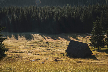 view of the shepherd's huts in the Polish mountains in the sunny light