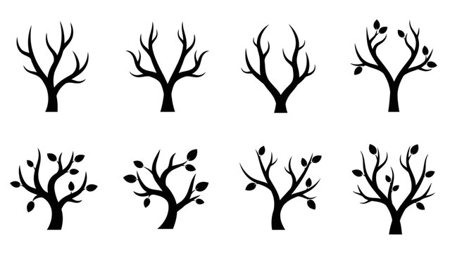Set of stylized black tree silhouettes demonstrating various stages of leaf growth and branch - Powered by Adobe