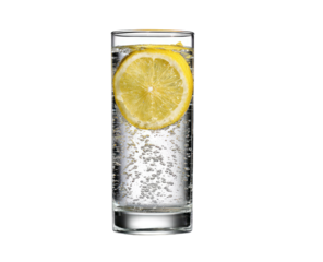 Lemon slice in sparkling water in a clear glass against a black background