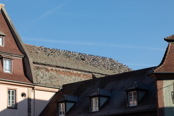 La petite France, Strasbourg, Alsace, France