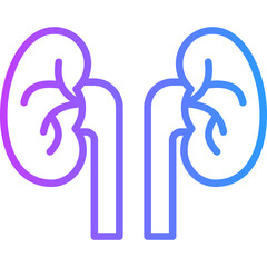 Fototapeta premium Nephrology line gradient icon