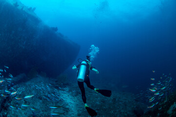 Scuba diver surrounded by neon fusiliers with massive boulder in the distance, Similan Islands, Thailand © Krzysztof Bargiel
