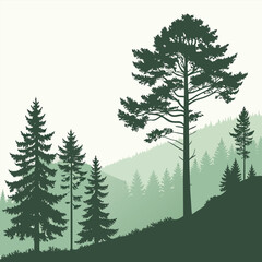 Fototapeta premium Silhouette of pine trees on a hill with a misty green background and a white sky