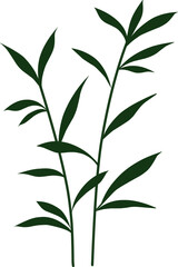 green leaves on white background