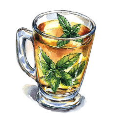 Traditional Moroccan mint tea glass watercolor painting with fresh leaves on white background
