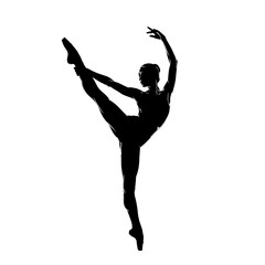 Silhouette of a Ballet Dancer Performing a High Leg Extension.