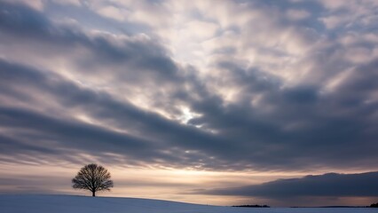 Serene winter landscape with a lone tree on a snowy hill under a dramatic cloudy sky at sunset with peaceful and nature and tranquil and clouds