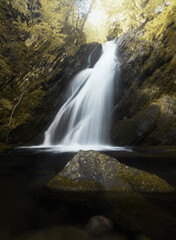 Obraz premium Golden sunlight on a waterfall in the woods. Spring landscape of a forest stream in the Tuscan-Emilian Apennines.
