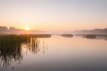 A Serene Sunrise Over Calm Waters: Tranquil Reflections and Lush Reeds in a Misty Landscape