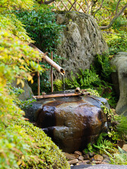  竹のししおどしが響く静寂の庭