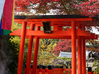  紅葉に包まれた朱の鳥居と神域の秋