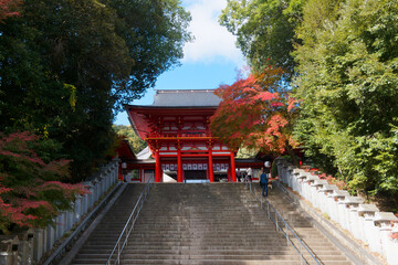  文化と季節が織りなす神域の風景