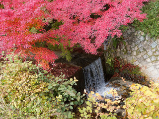 水音が響く紅葉の庭園
