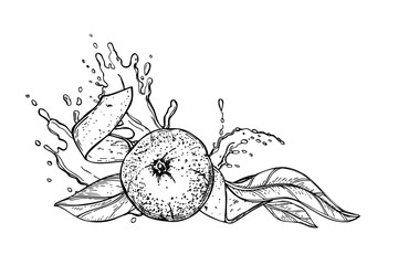 Mandarin orange with leaves, peel on juice splash vector illustration in black ink etching style. Hand drawn sweet ripe citrus fruit in water splatter waves, juice drops graphic sketch. Overhead