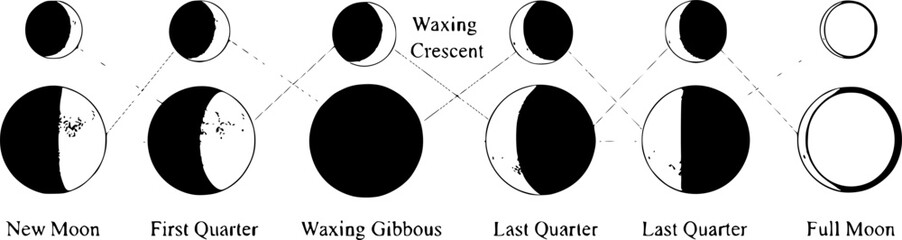 Engraved illustration of the phases of the moon on a white background
