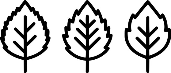 Black and white line art illustration of three different leaves
