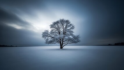 Stunning panorama of snowy landscape in winter in Black Forest - winter wonderland snow, Panorama of beautiful winter park
