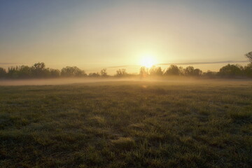 Fototapeta premium Sunrise Over Foggy Field on a Misty Spring Morning