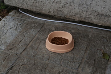 Pet food bowl placed on a stone surface near a wall during a sunny day