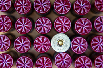 12 ga, Made in USA on brass shotgun shell, Crimped shotgun shells, ammo standing on end for an shooting background 