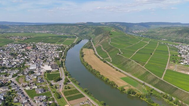 Leiwen and Trittenheim, Moselle Valley with loop of Mosel river, aerial view, riesling wine growing on vine, vineyard landscape, agriculture, Germany