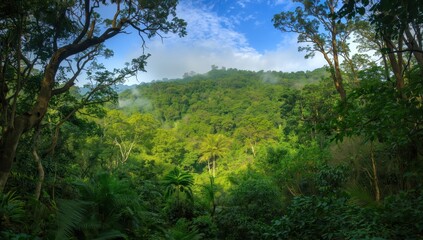 Fototapeta premium Khao Kho rainforest, Phetchabun, Thailand