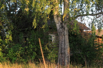 an old uninhabited house in an abandoned village