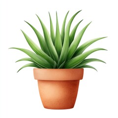 Watercolor cartoon clipart of potted plant on white background for design and decoration