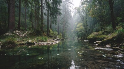 Fototapeta premium Serene Forest Stream with Fog and Lush Green Vegetation