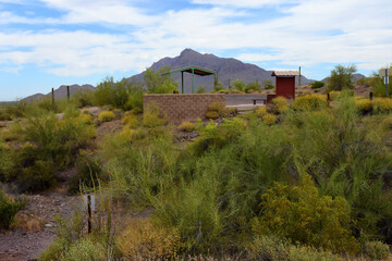 Sonoran Desert Arizona Picacho Peak State Park