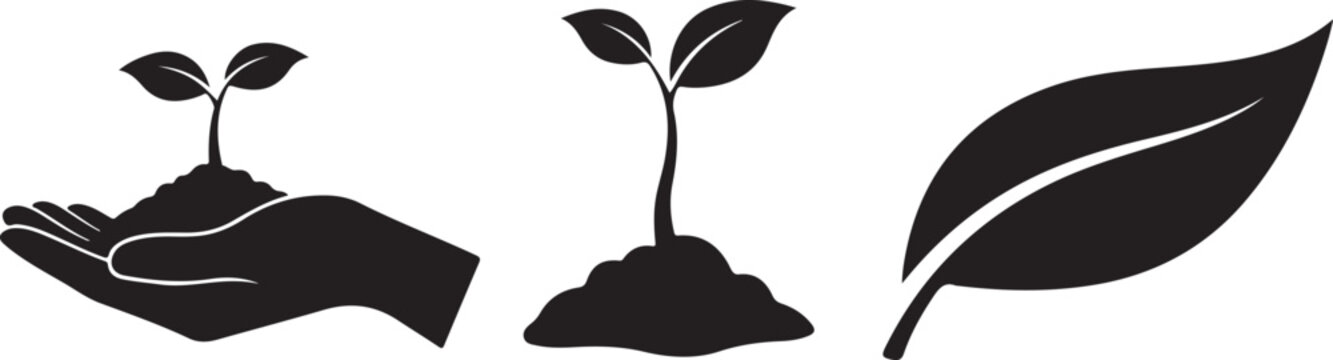 Plant seed and falling leaf icons. Hand with seeds nature growth symbol vector illustration eps