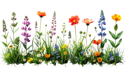 A vibrant collection of diverse wildflowers blooming in a lush summer meadow.